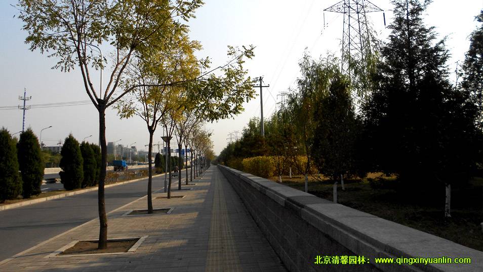 阜石路绿化工程设计案例