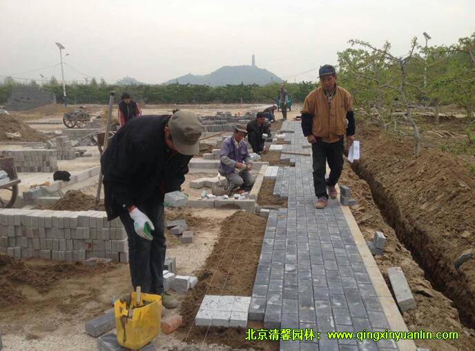 整铺粘合层,铺设透水砖