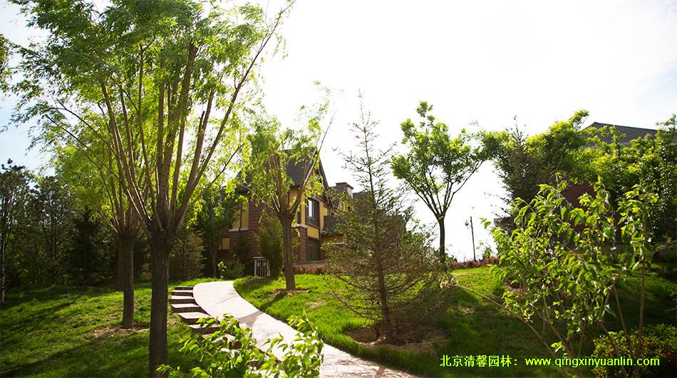 北京枫树家园地产景观工程设计案例