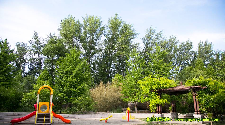 北京枫树家园 园林景观绿化