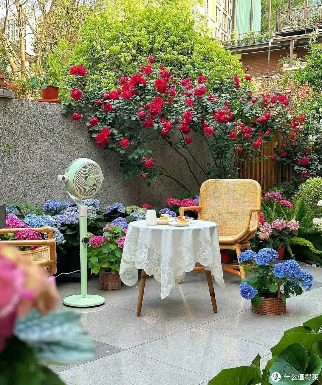 广西一姐姐,“庭院花园太美”走红,太治愈了,妥妥的视觉盛宴