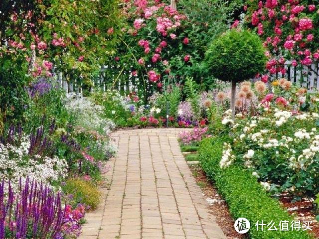 再喜欢这6种花，也不能种进院子，惹家人埋怨不说，还会得罪邻居