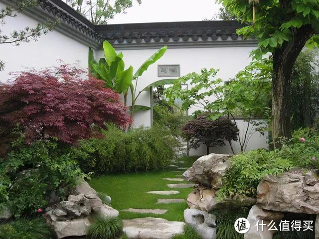 3种花买得起养不起，常被人叫“花园三坑”，陷进去难出来