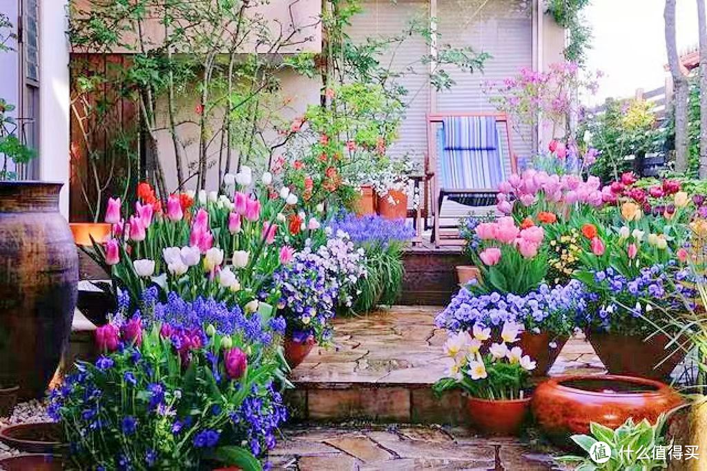 如何做才能让庭院四季皆有花可赏？
