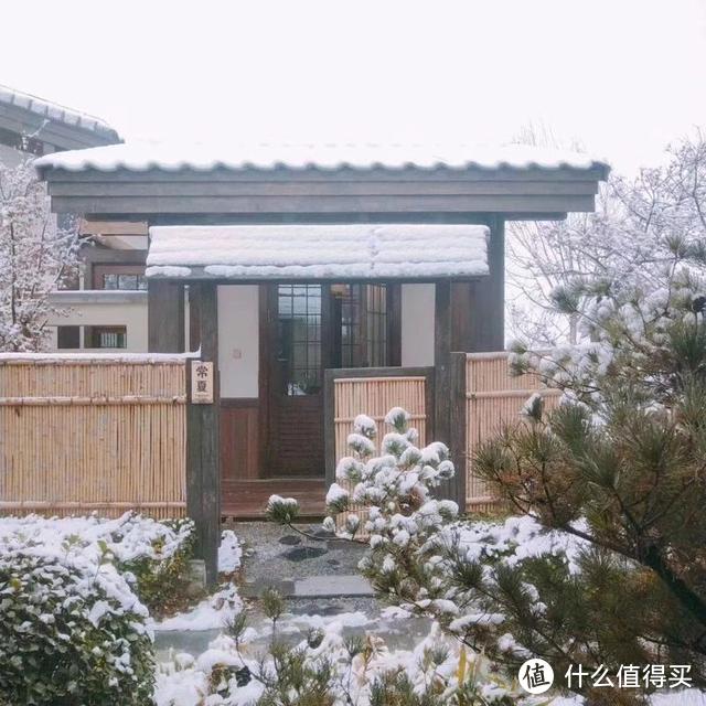 不想冬天小院里光秃秃的难看,就种上这6种花卉,耐寒还能开花!